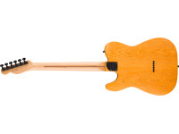 Fender LTD Am Pro II Tele HH AGN Fender LTD Am Pro II Tele HH AGN